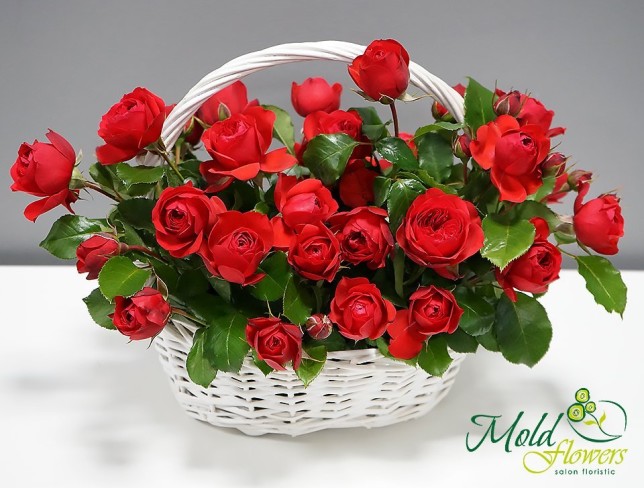 Basket with Red Peony-type Roses photo